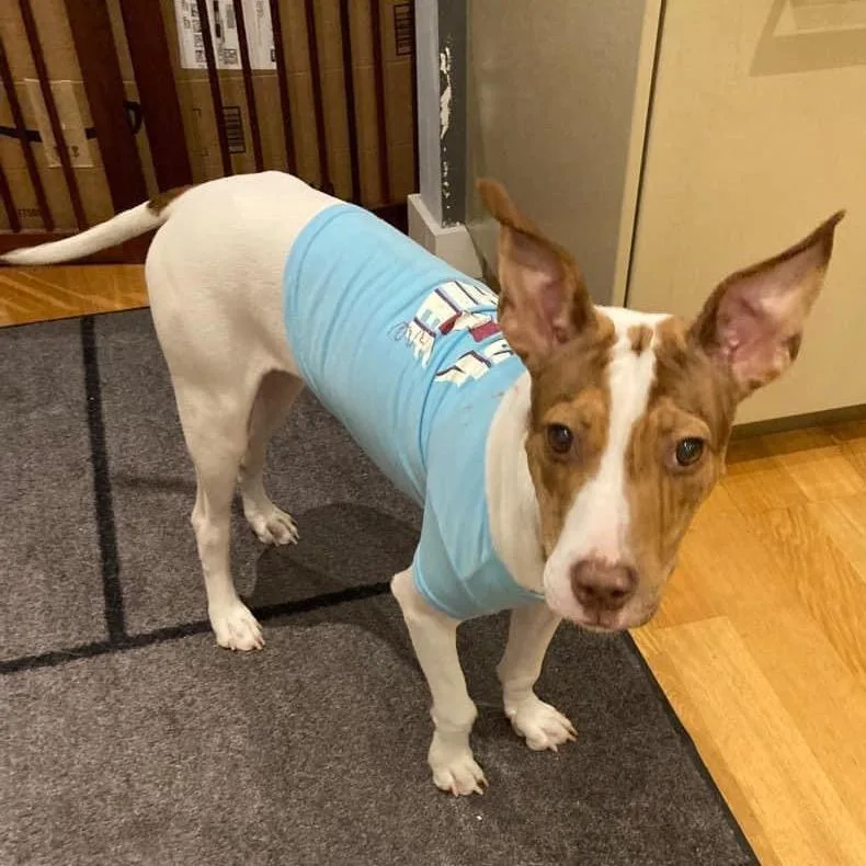 Hattie Mississippi thumbnail 3