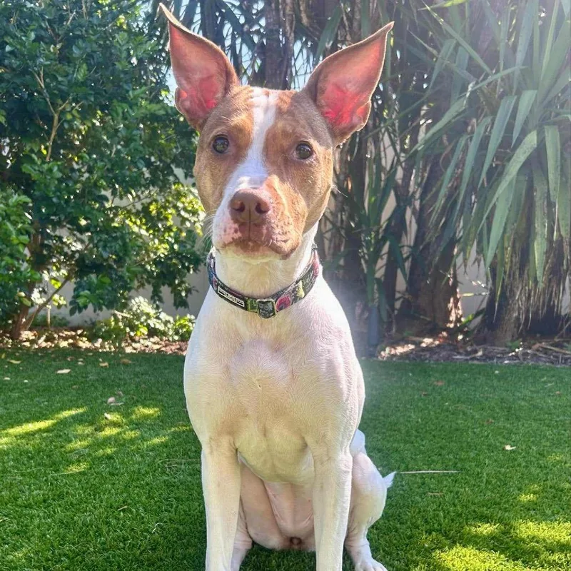 Hattie Mississippi thumbnail 4