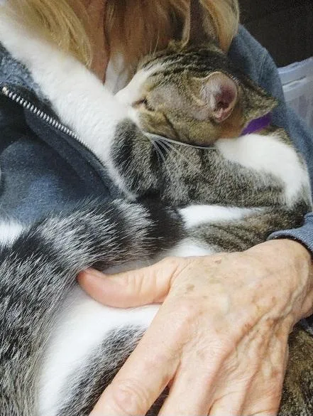 Trenton.....shares Hugs!!  Fun thumbnail 2