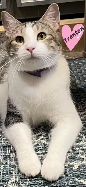 Trenton.....shares Hugs!!  Fun