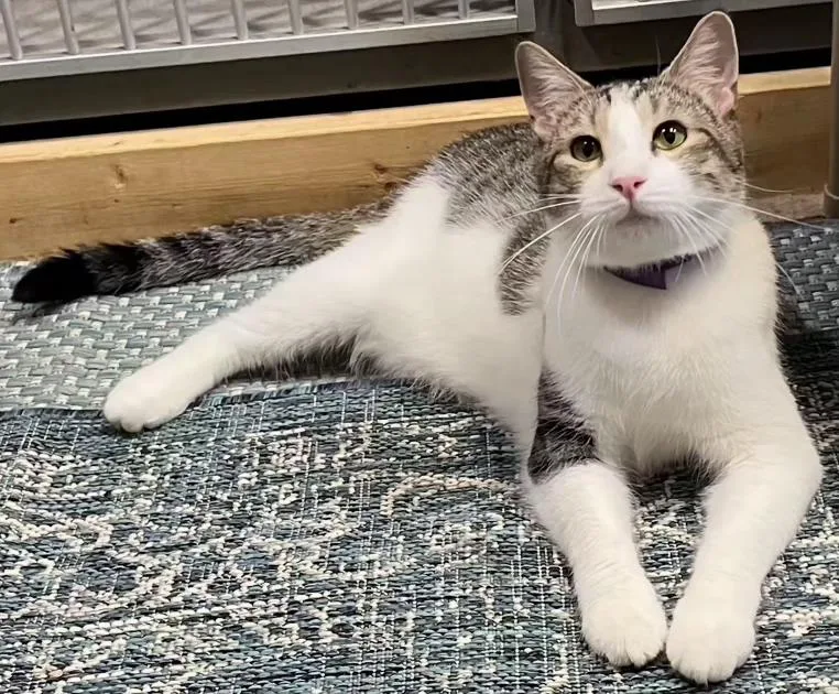 Trenton.....shares Hugs!!  Fun thumbnail 5