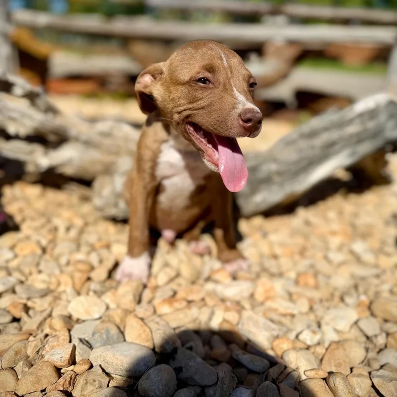 Ernie thumbnail 3