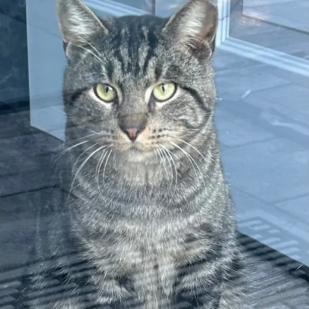 Oliver James thumbnail 2