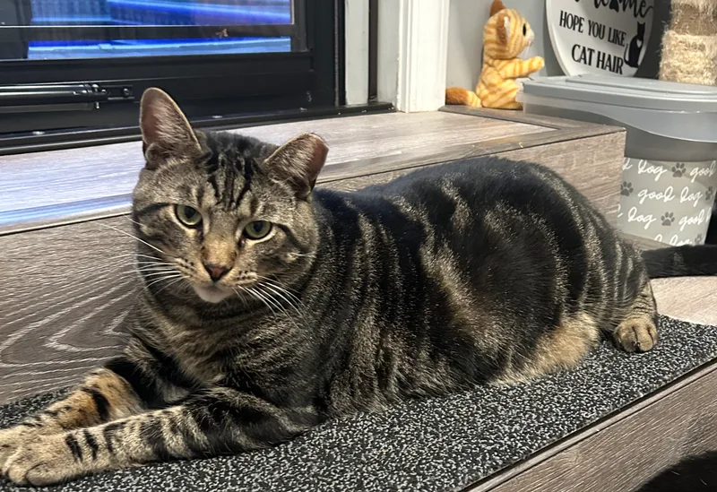 Oliver James thumbnail 3