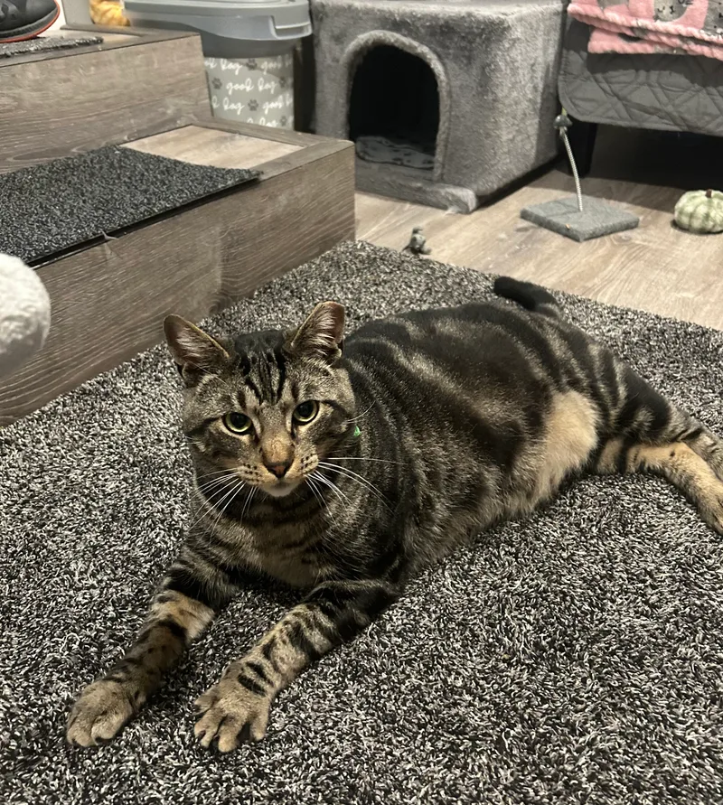 Oliver James thumbnail 4