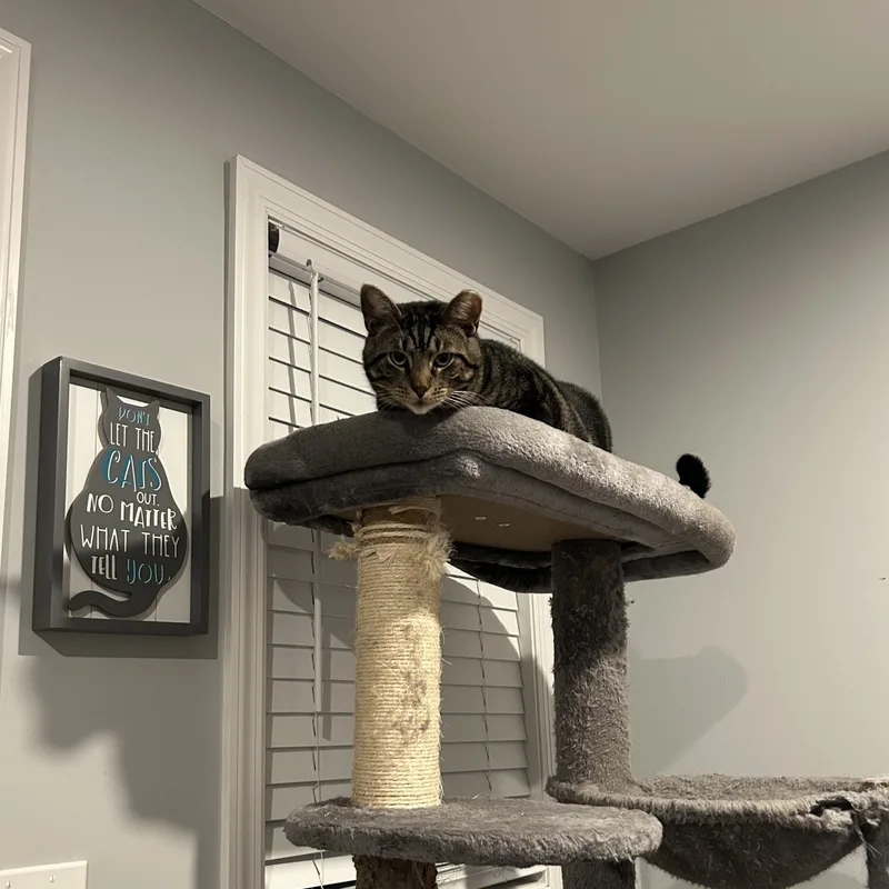 Oliver James thumbnail 5