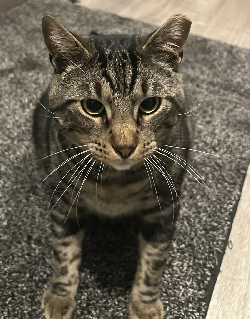 Oliver James thumbnail 6