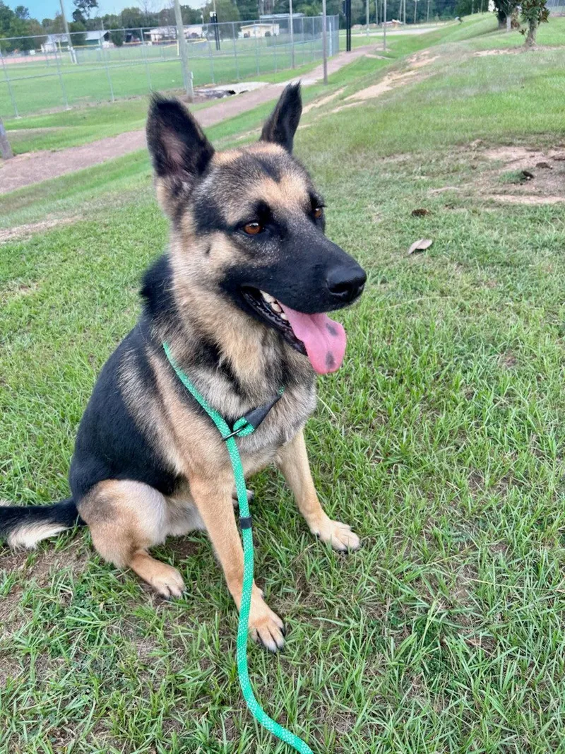Diego