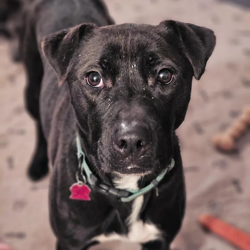 Kingston thumbnail 2