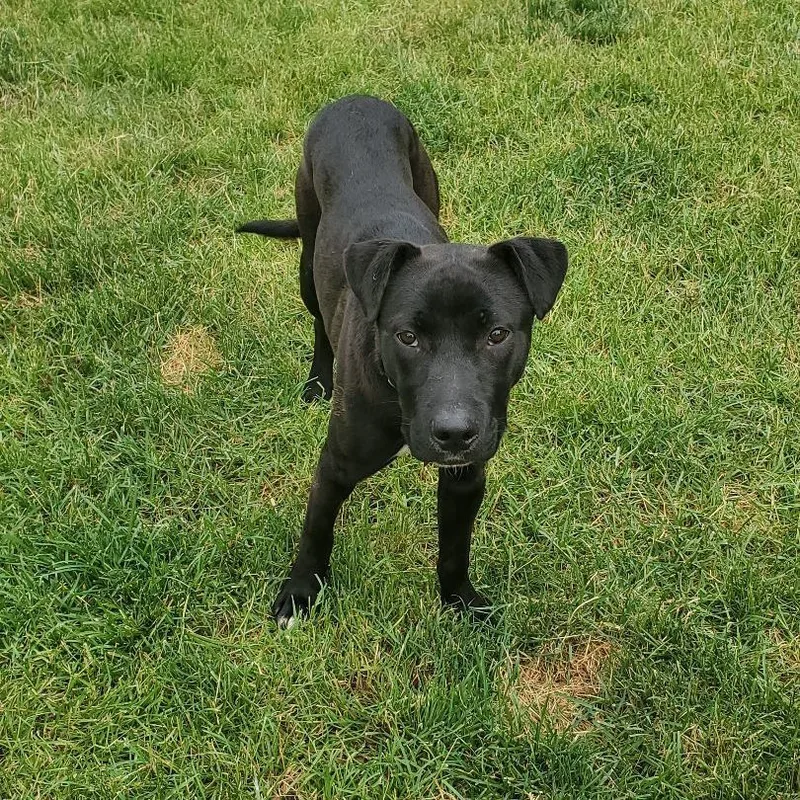 Kingston thumbnail 3