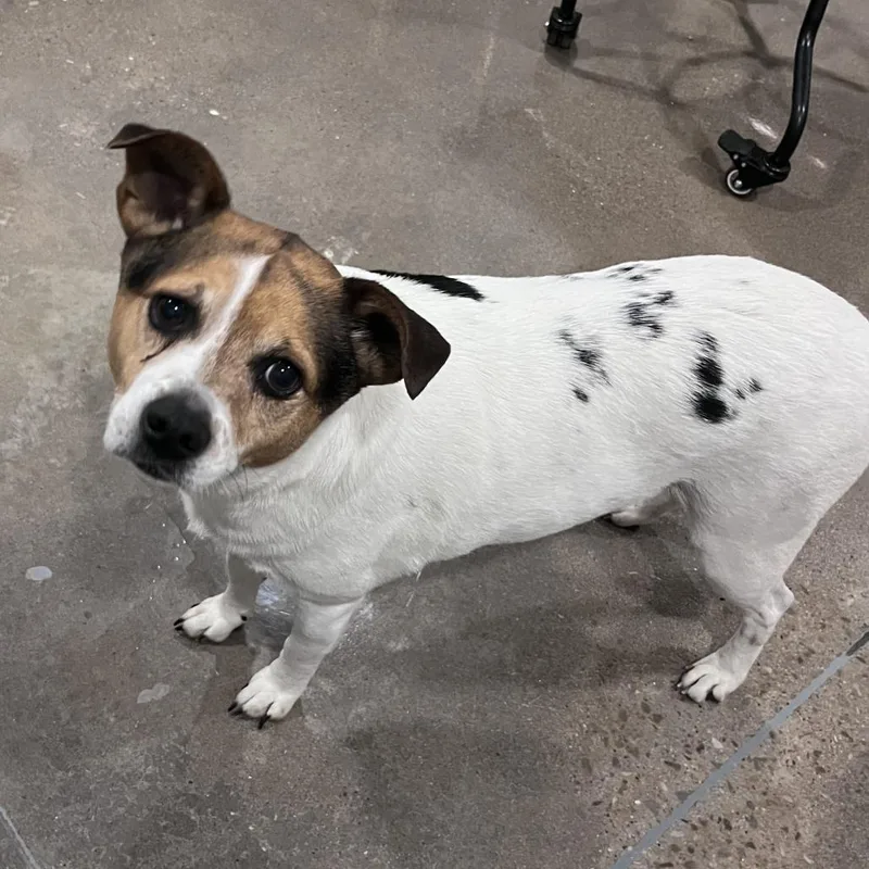 Phil Deville thumbnail 2