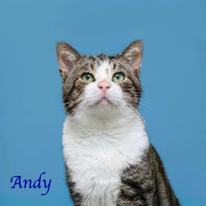 Andy