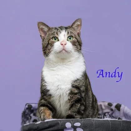 Andy thumbnail 2