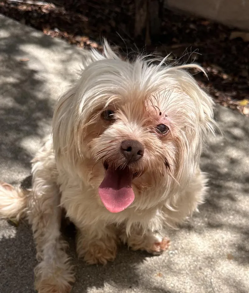 Gladys thumbnail 5