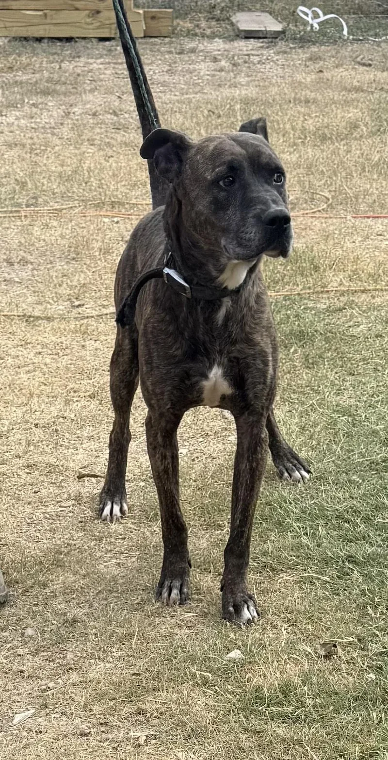 Jack Harlow thumbnail 2