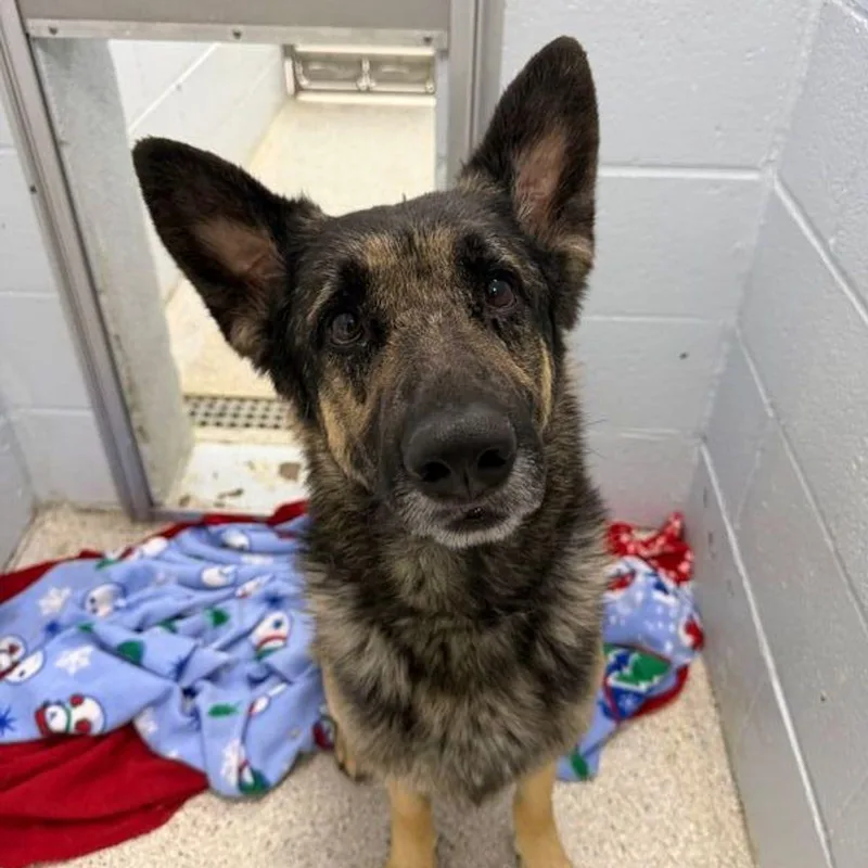 Jack Black thumbnail 2