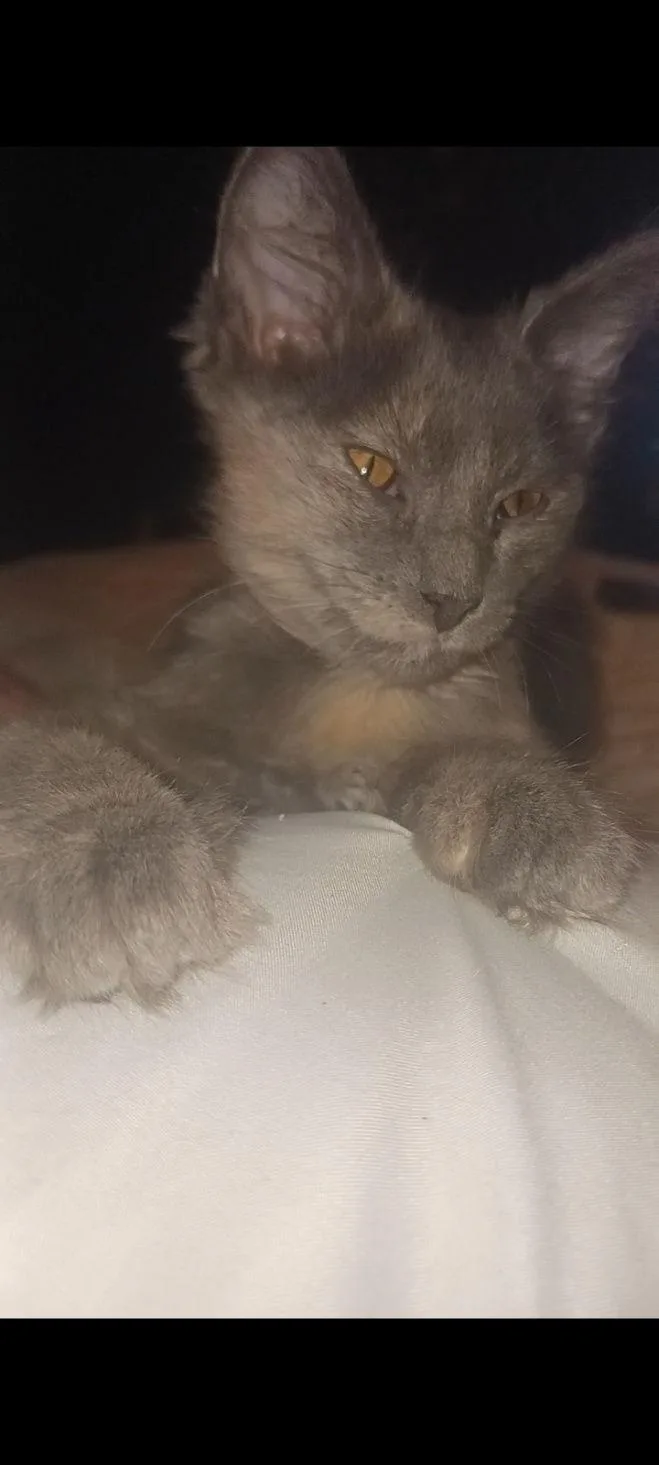 Saturn And Jupiter thumbnail 2