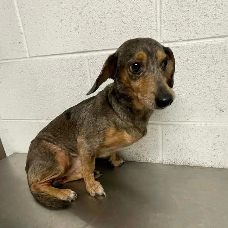 Arthur C thumbnail 2