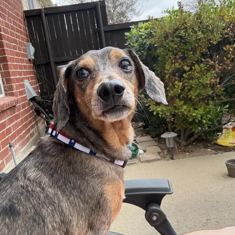 Arthur C thumbnail 3