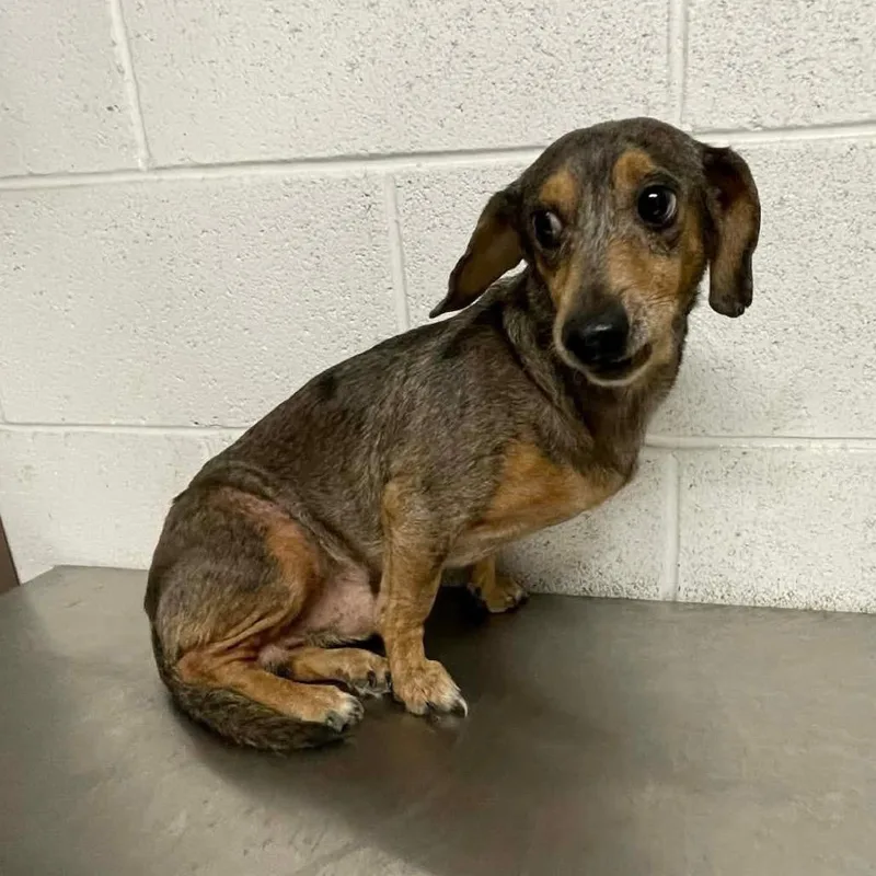 Arthur C thumbnail 4