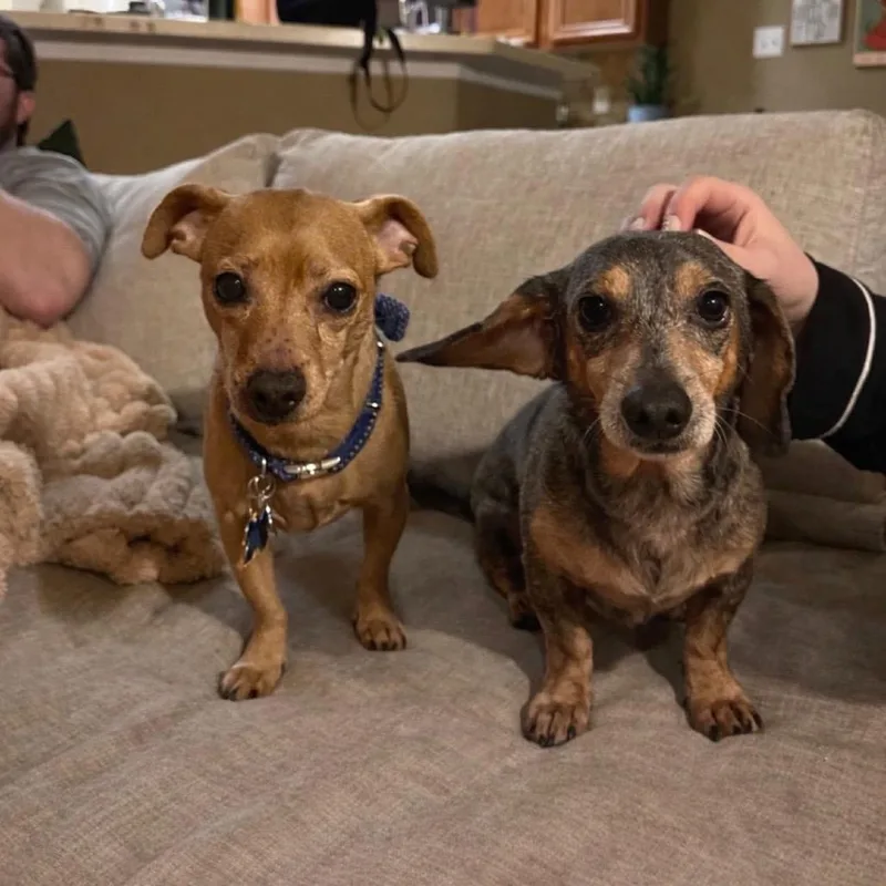 Arthur C thumbnail 5