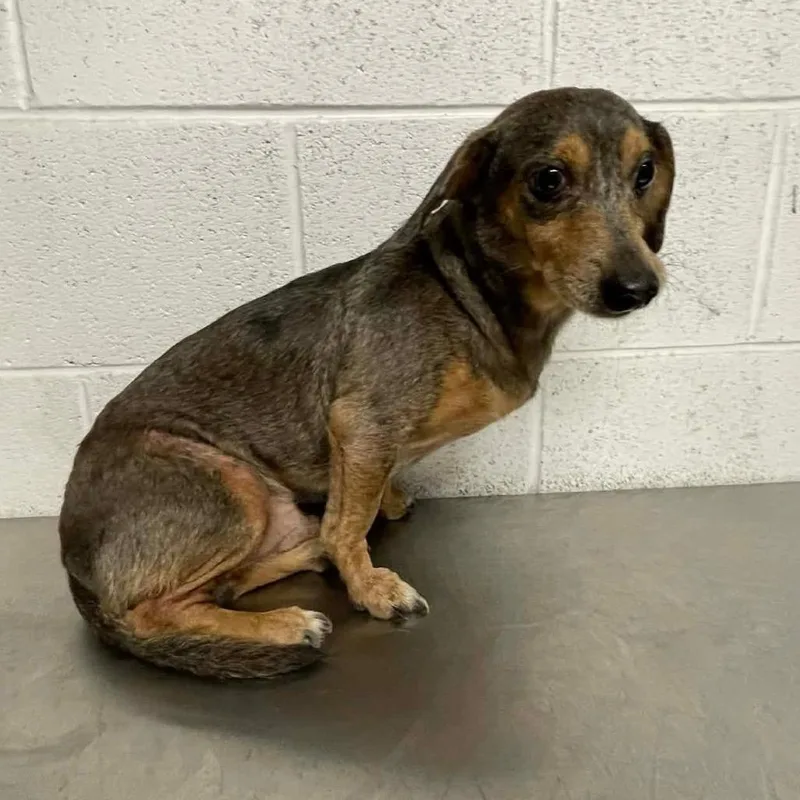 Arthur C thumbnail 6