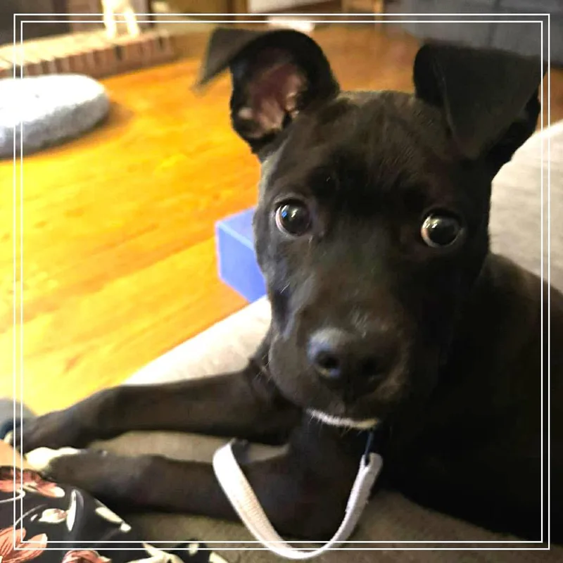 Emma thumbnail 2