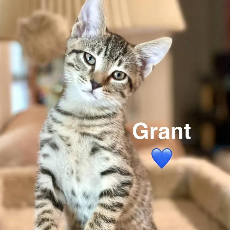 Grant thumbnail 2