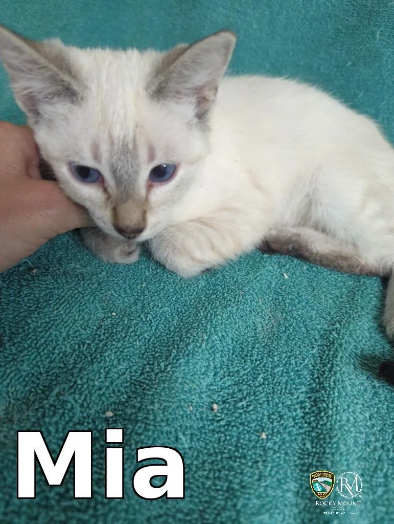 Mia thumbnail 2