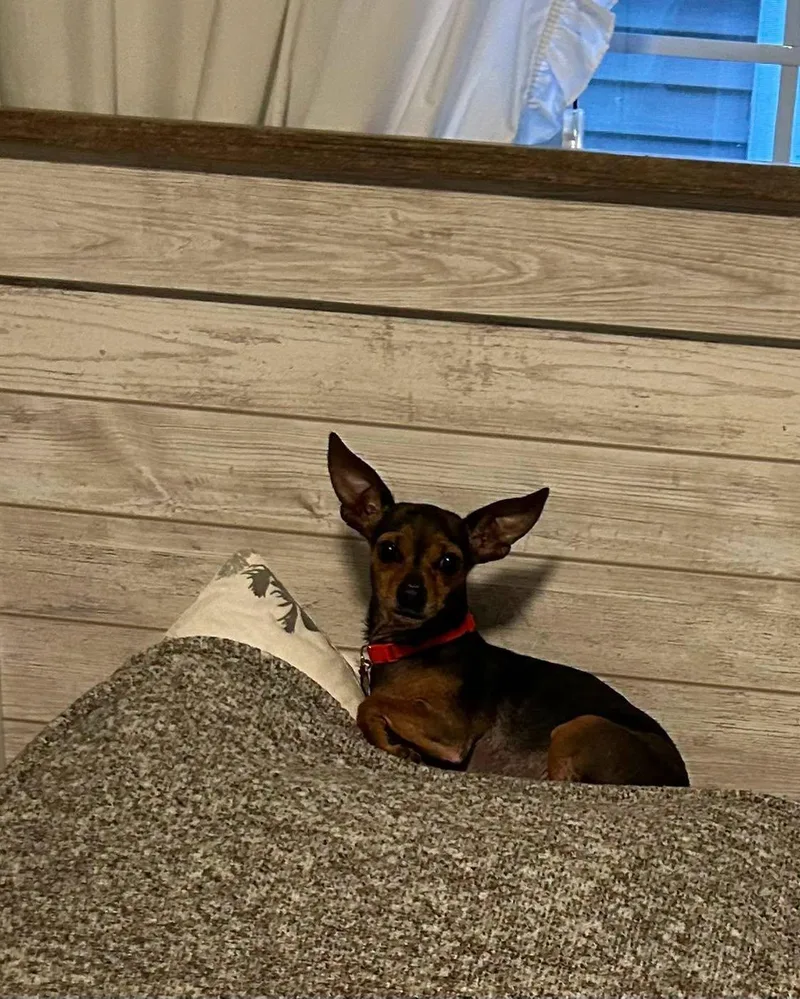 Andy thumbnail 2
