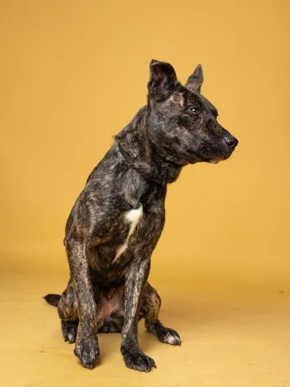 Gwendolyn thumbnail 2