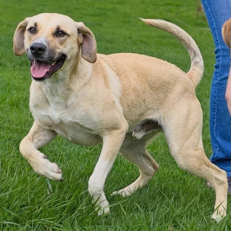 Priscilla thumbnail 2