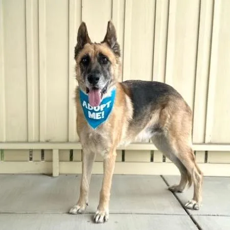 Axel