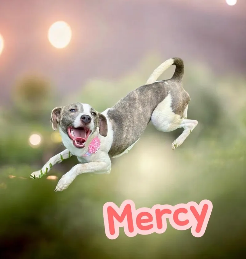 Mercy thumbnail 2
