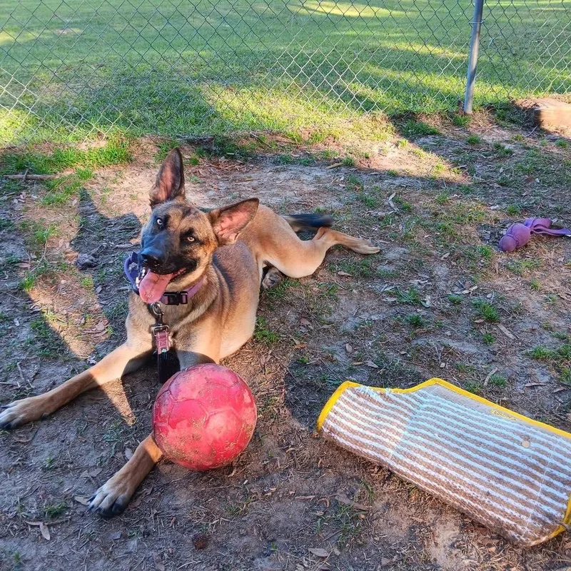 Delta  Located In thumbnail 2