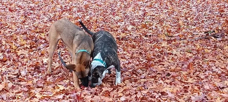 Delta  Located In thumbnail 3