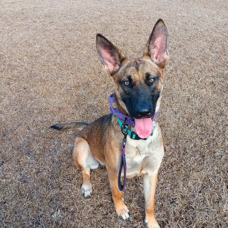 Delta  Located In thumbnail 4