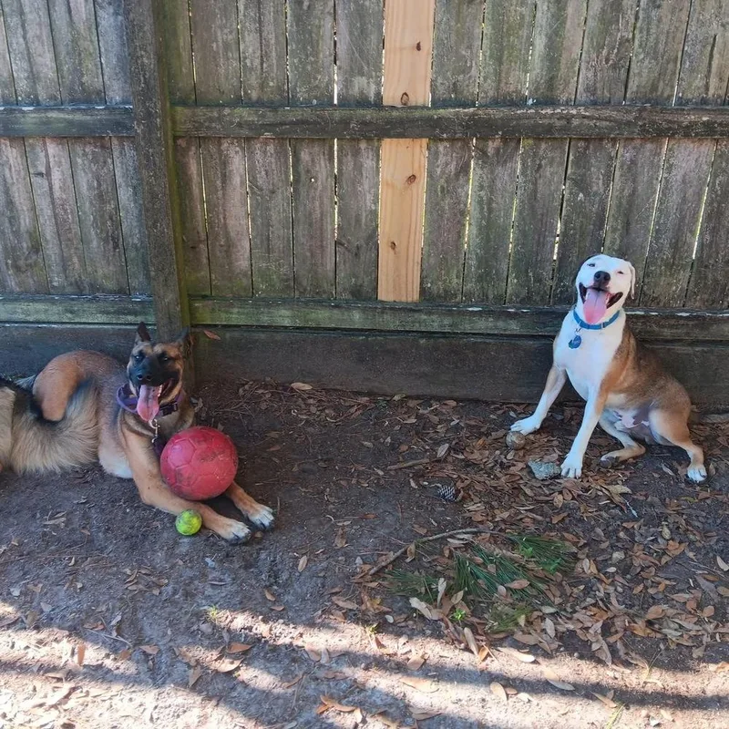 Delta  Located In thumbnail 5