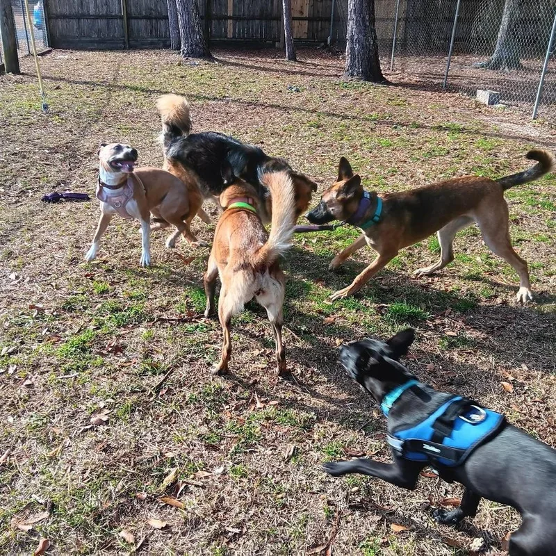 Delta  Located In thumbnail 6