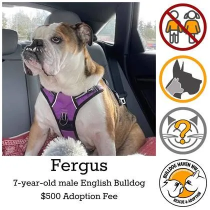 Fergus