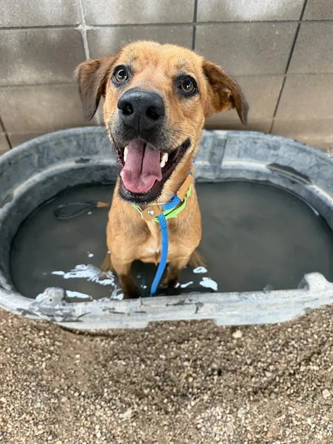 Milo