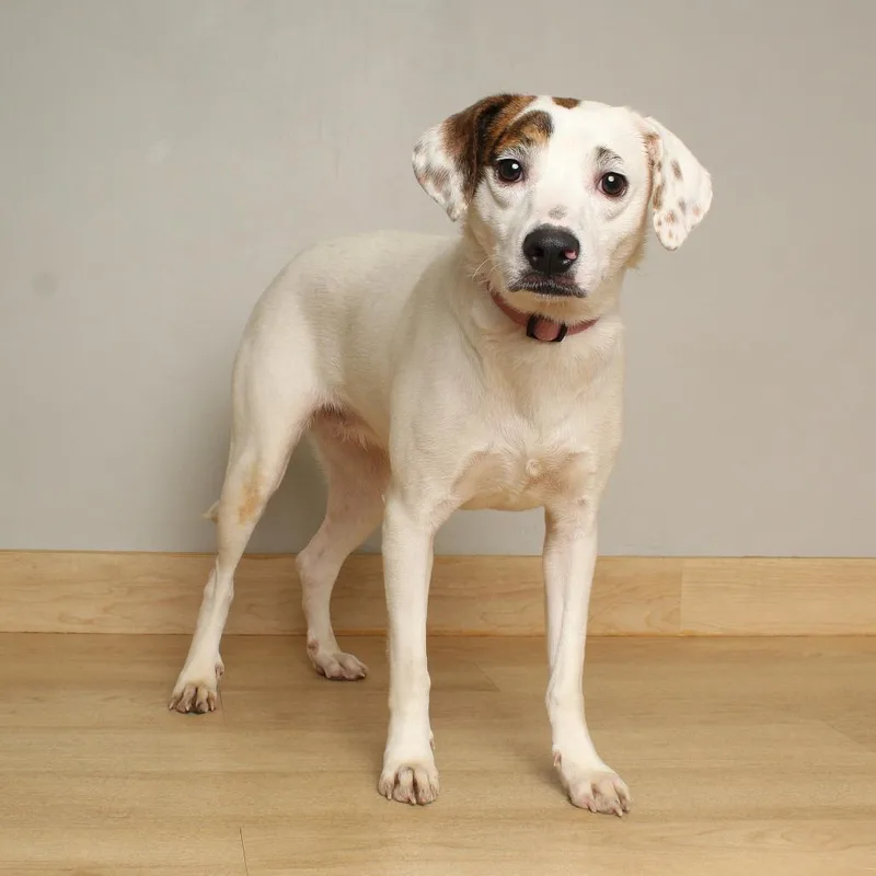 Starla D thumbnail 2