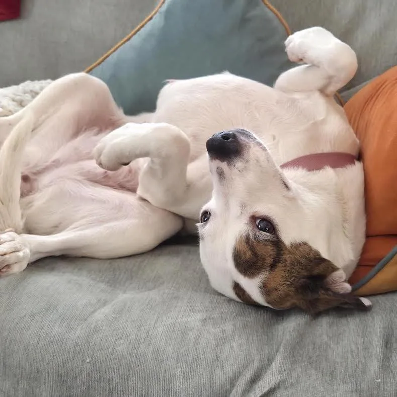 Starla D thumbnail 3