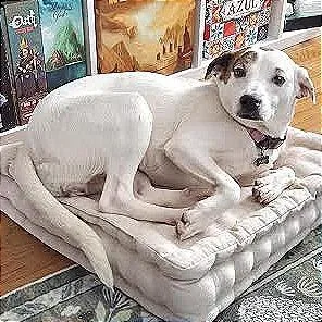 Starla D thumbnail 4