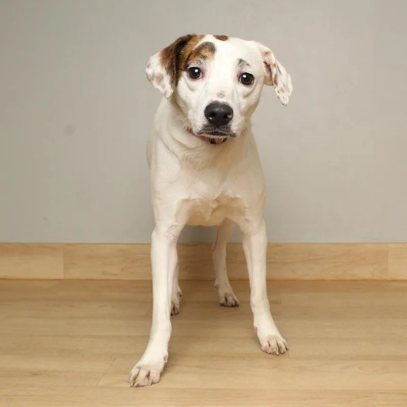 Starla D thumbnail 5