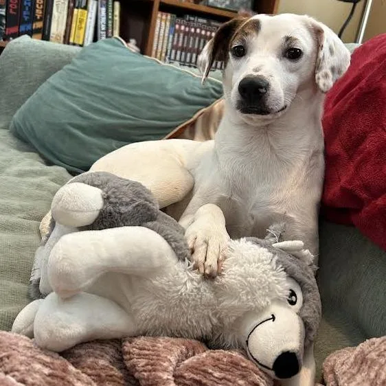 Starla D thumbnail 6