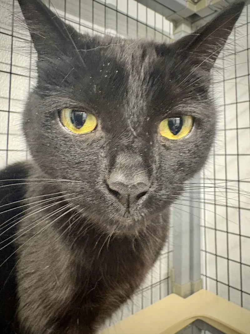 Mo  At Petsmart thumbnail 2
