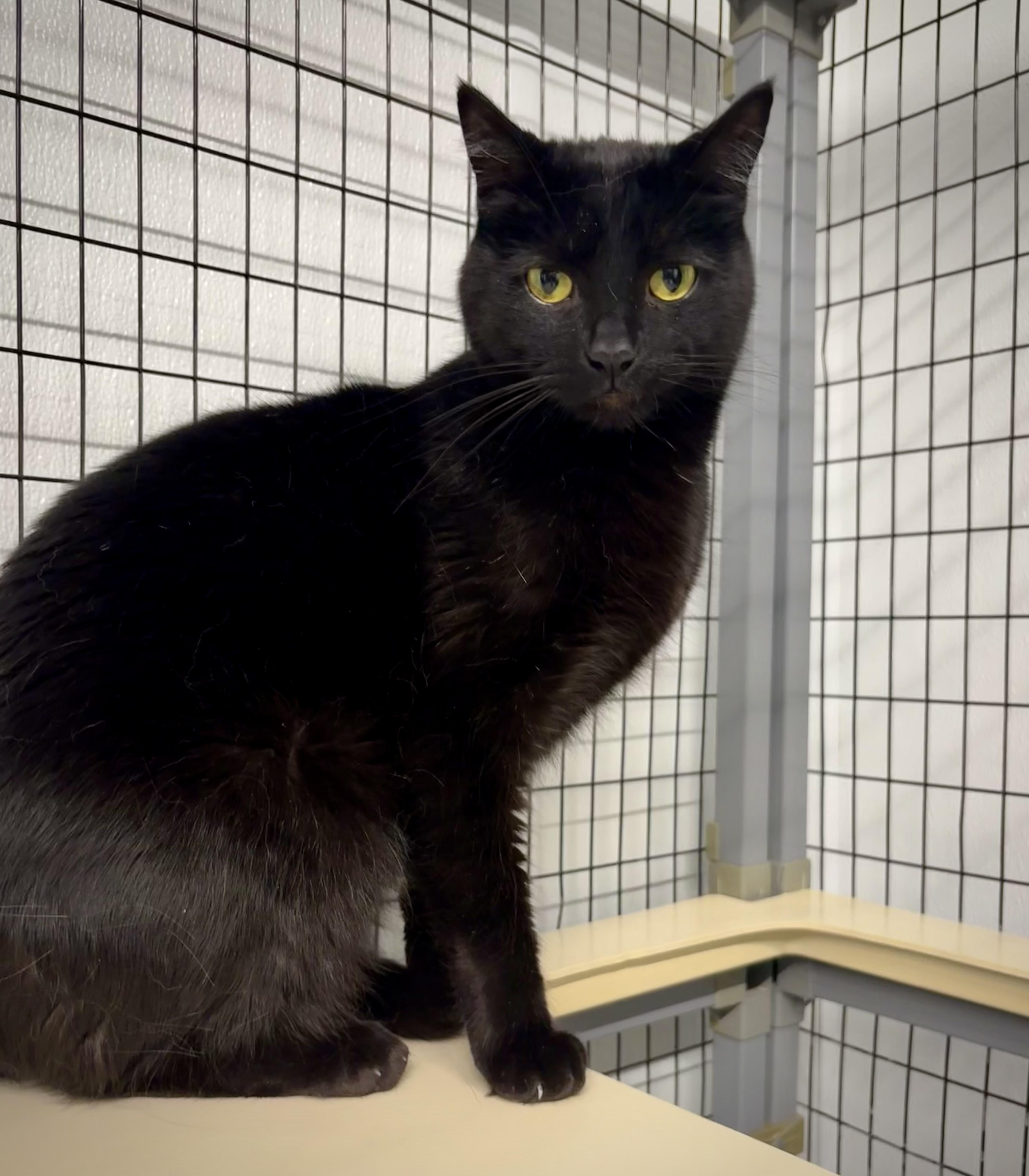 Mo  At Petsmart thumbnail 3