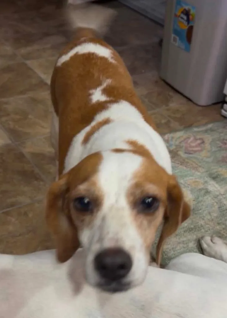 Darla B thumbnail 2