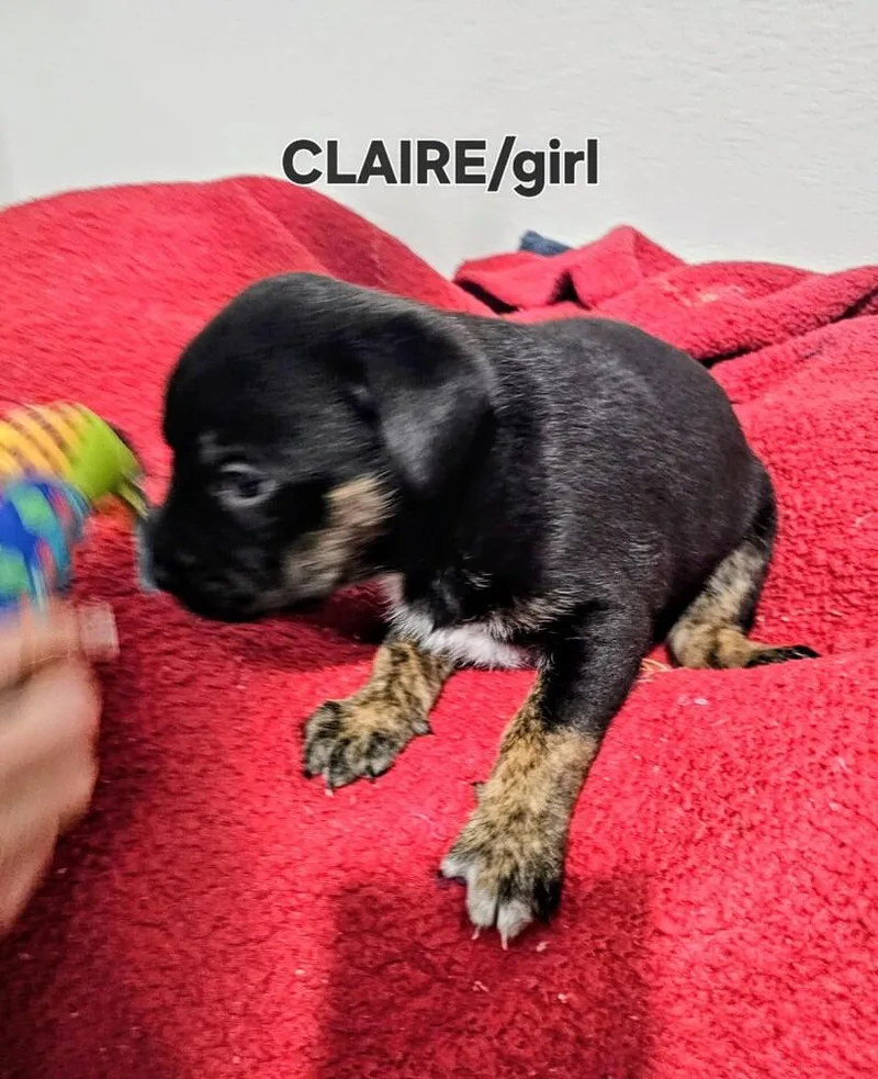 Claire thumbnail 2